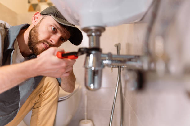 Best Commercial Plumbing Services  in Constantine, MI