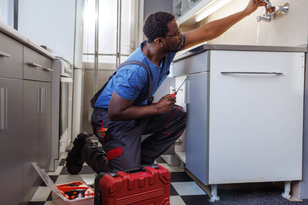 Best Plumbing System Maintenance  in Constantine, MI